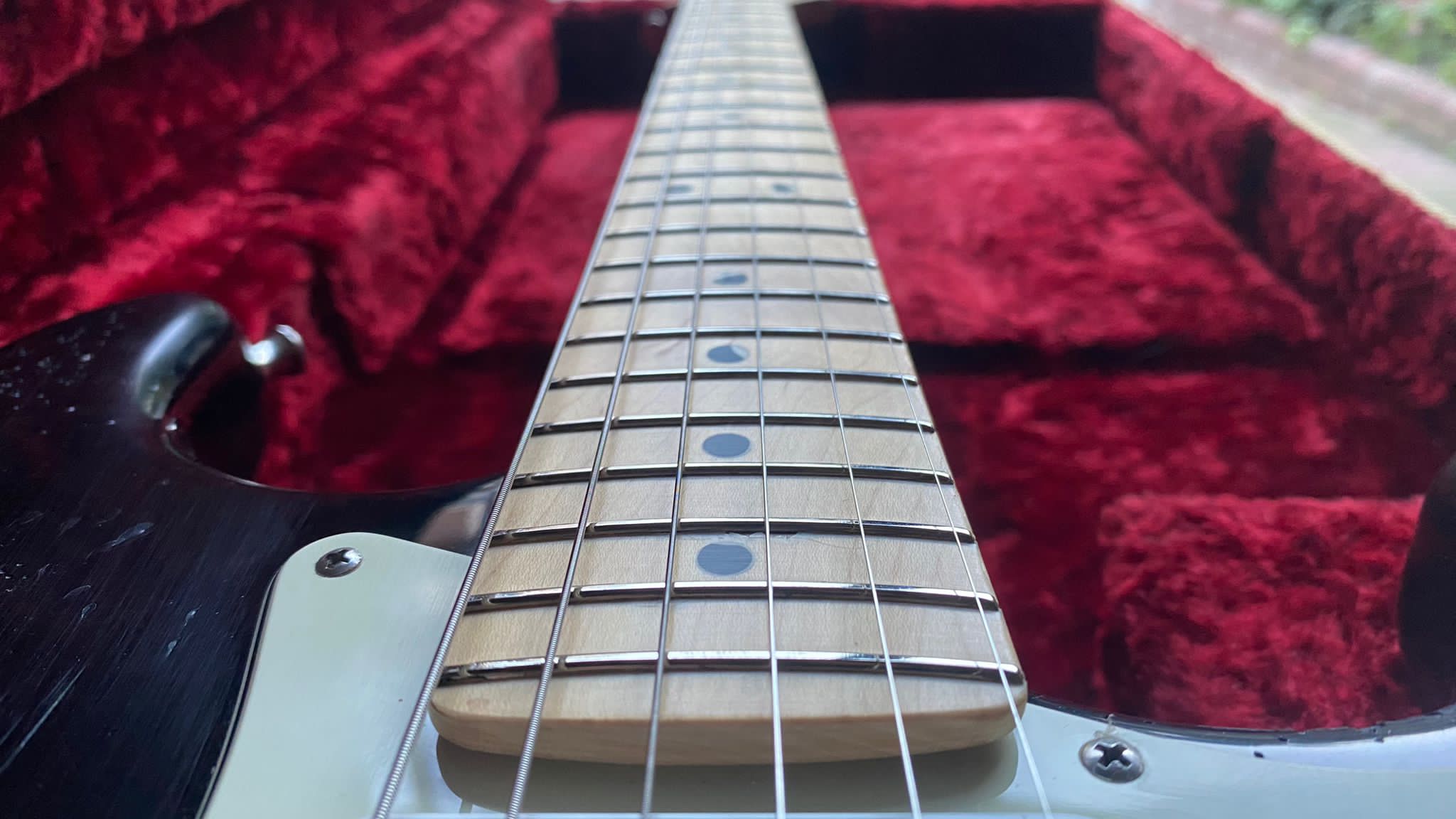 PHOTO-2022-11-03-17-54-46